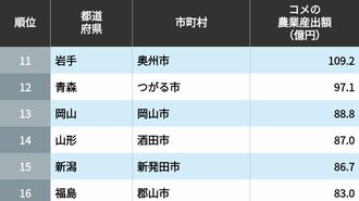 「コメで稼いでいる」自治体ランキングTOP500