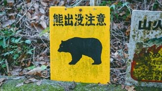 "クマ"の出没が多く人身被害が深刻な｢都道府県｣