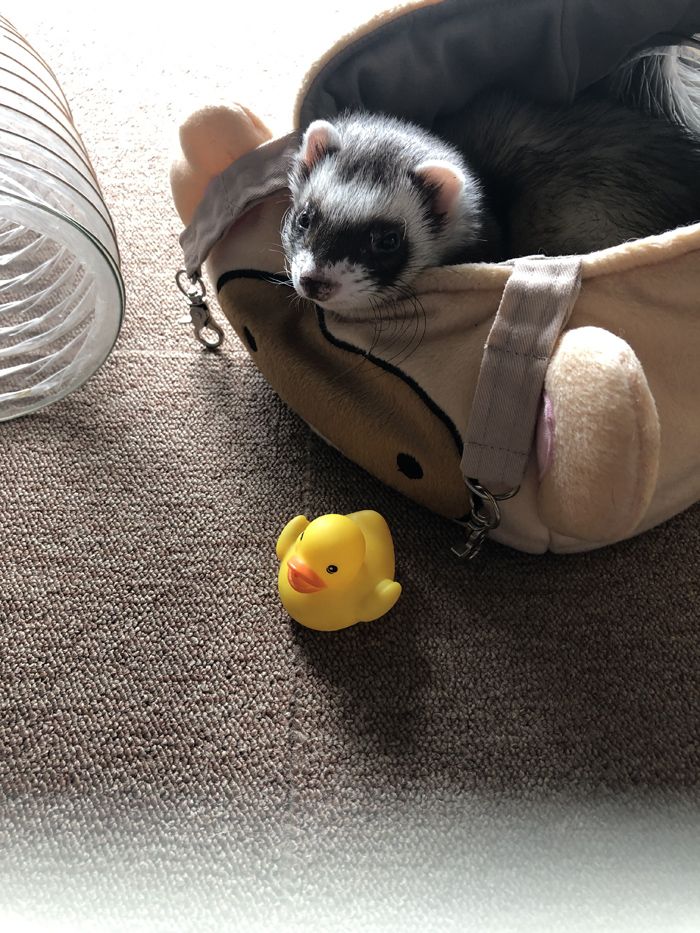 （写真提供：ミキさん）