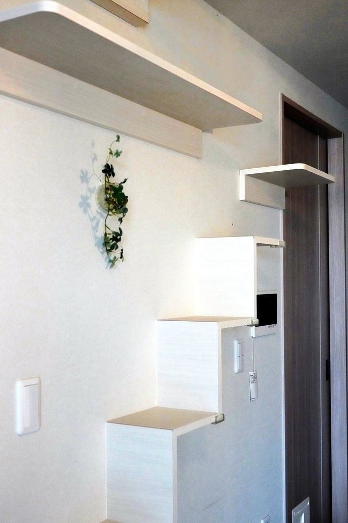 リビングの入り口には、キャットウォークへと続く猫用の階段（撮影：梅谷秀司）