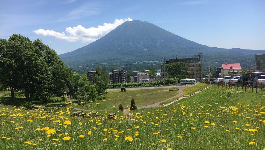 羊蹄山を望むひらふエリア（写真：筆者撮影）