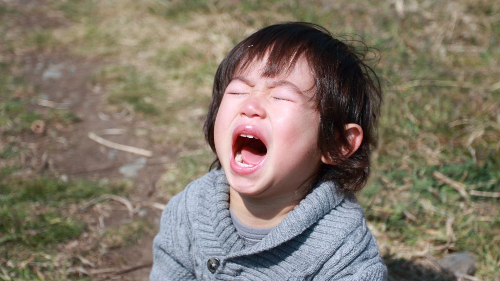 集中力を育む モンテッソーリ教育 の本質 子育て 東洋経済オンライン 社会をよくする経済ニュース