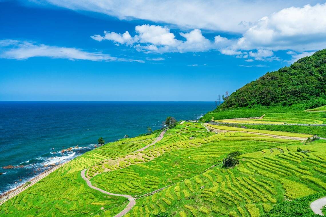 輪島 能登 地震 白米千枚田