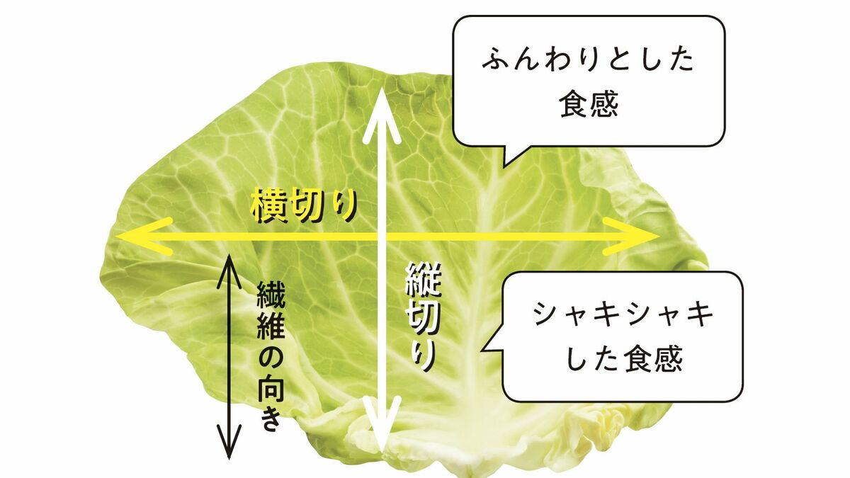キャベツ 栄養