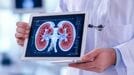 ｢人生後半の充実度は"腎臓"で決まる｣→身体にとって｢万能薬｣となる簡単な習慣とは〈再配信〉