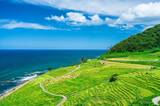 輪島 能登 地震 白米千枚田