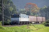 伯備線根雨付近を行くEF64形0番台牽引の貨物列車（撮影：南正時）