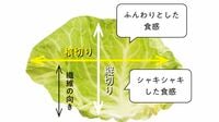 実は｢ポイ捨て｣しまくっていたキャベツの栄養