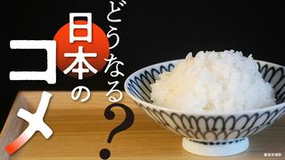 どうなる？日本のコメ