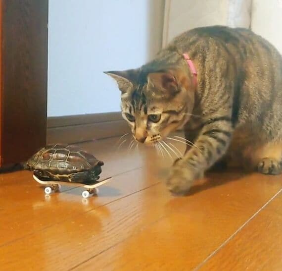 初めてスケボーに乗った日