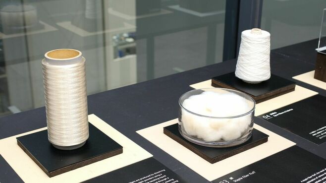 Spiber､孫正義氏長女でGS出身の川名氏が支援へ