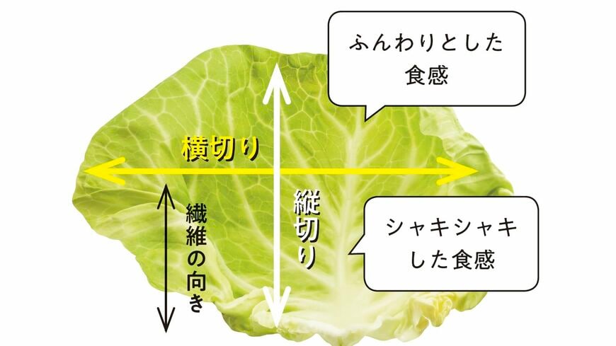 キャベツの千切りの違い